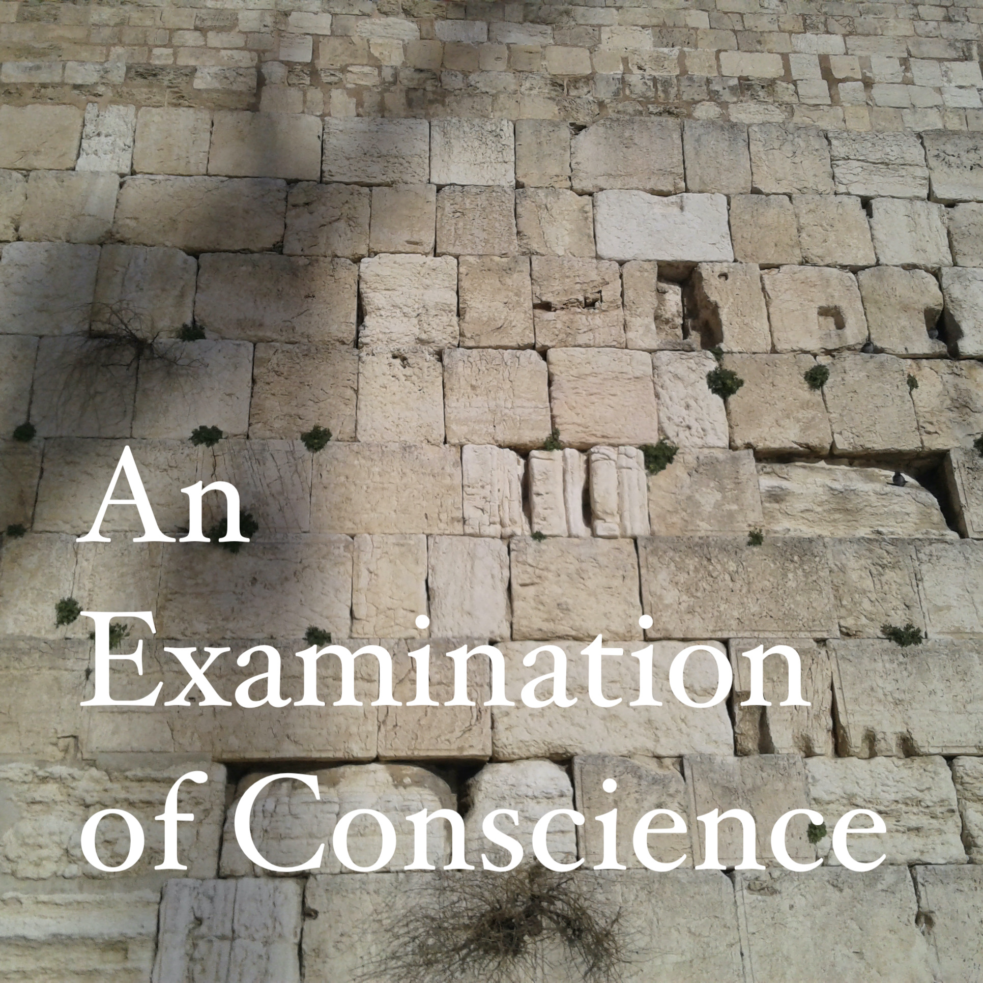 An Examination of Conscience